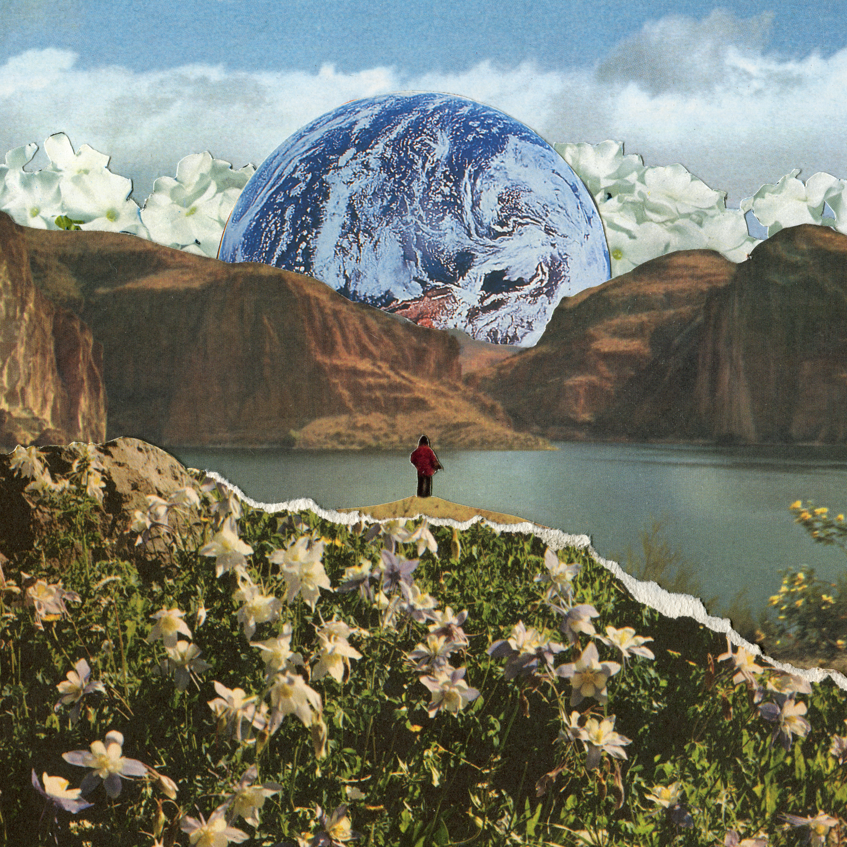 Monoflora album cover